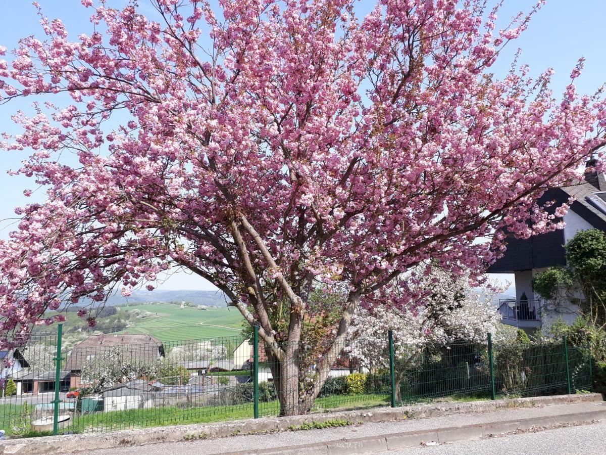 Haus Der Rosen Daire Boppard Dış mekan fotoğraf